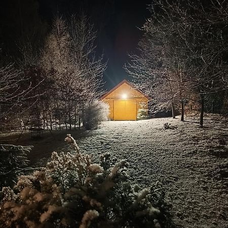 Villa Lupus - Apartament Z Prywatna Sauna Szklarska Poreba Dış mekan fotoğraf