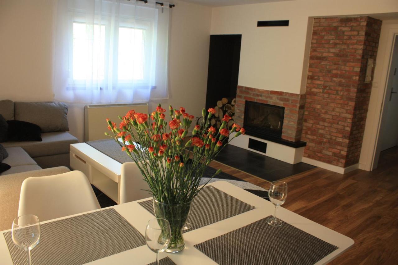 Villa Lupus - Apartament Z Prywatna Sauna Szklarska Poreba Dış mekan fotoğraf
