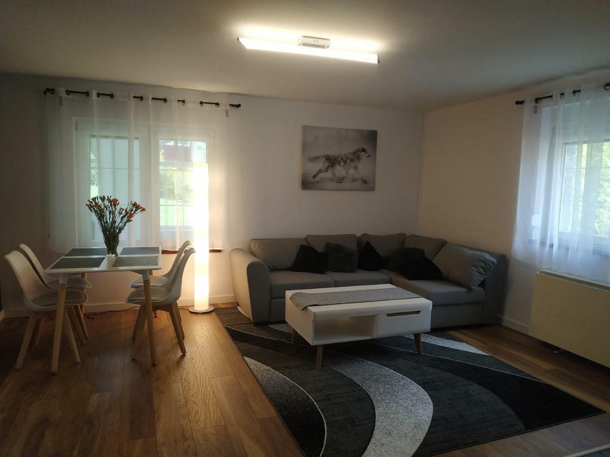 Villa Lupus - Apartament Z Prywatna Sauna Szklarska Poreba Dış mekan fotoğraf